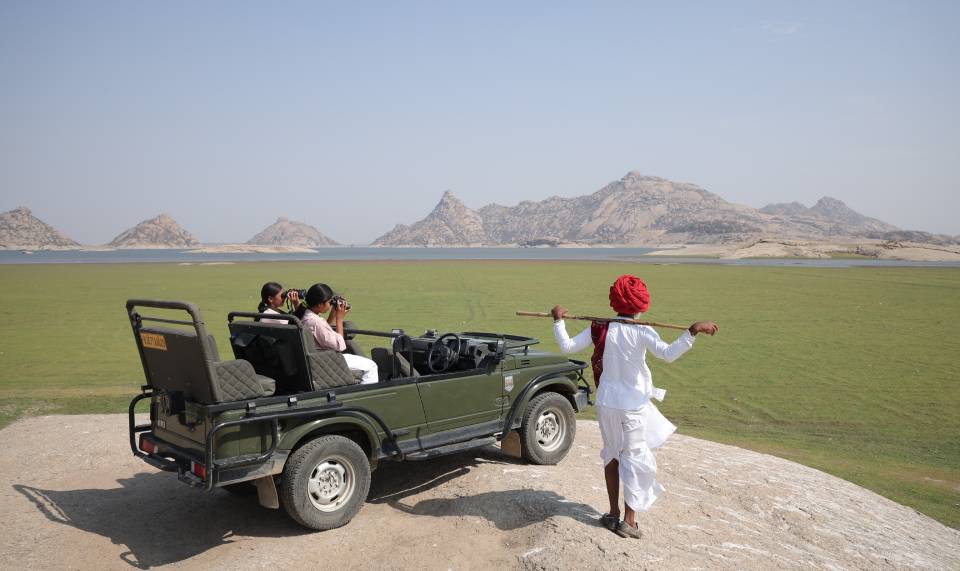leopard jungle safari in jawai