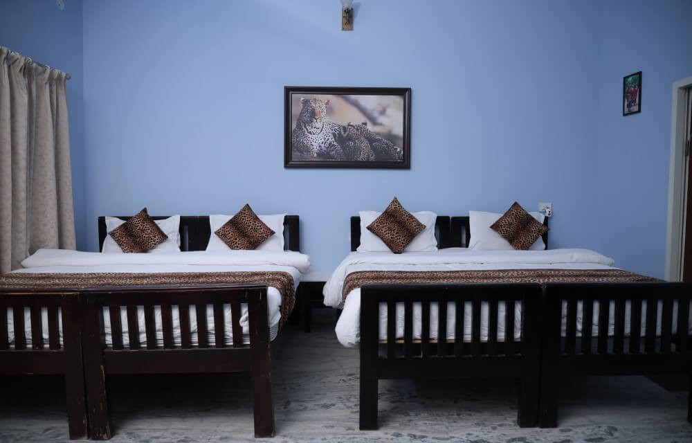 Jawai Bera Leopard Camp