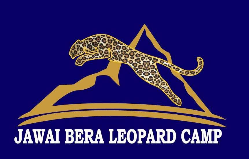 Jawai Bera Leopard Camp